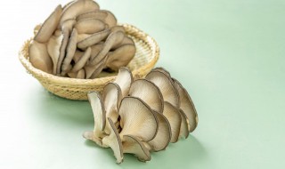 蘑菇焯水后能储存多久? 能把焯过水的蘑菇保存多久