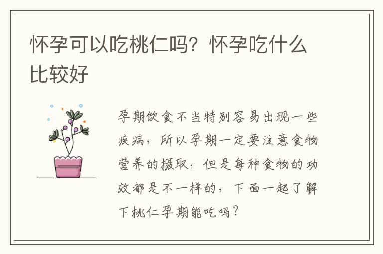 怀孕可以吃桃仁吗？怀孕吃什么比较好