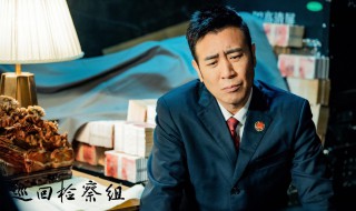 巡回检察检查组演员表 巡回检察检查组电视剧简介