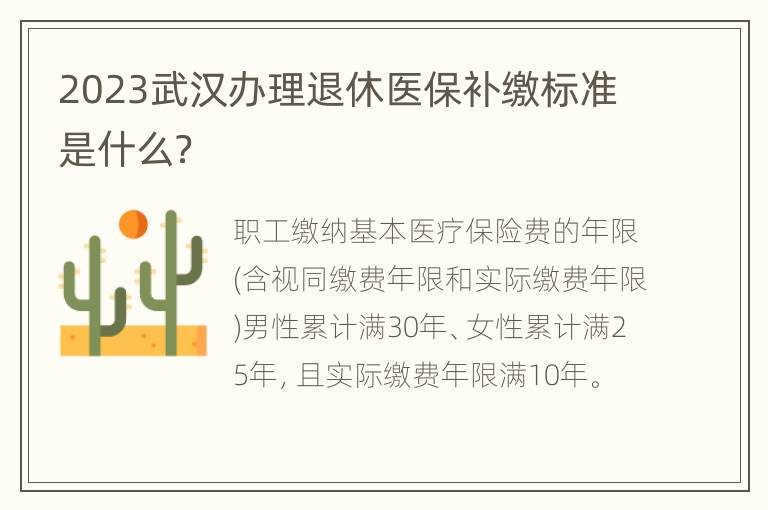 2023武汉办理退休医保补缴标准是什么？