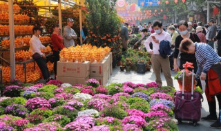 花籽怎么种 花籽的播种方式