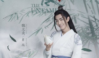 陈情令魏无羡的陈情是什么做的 陈情令魏无羡的简介