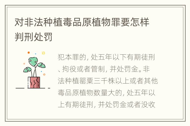 对非法种植毒品原植物罪要怎样判刑处罚