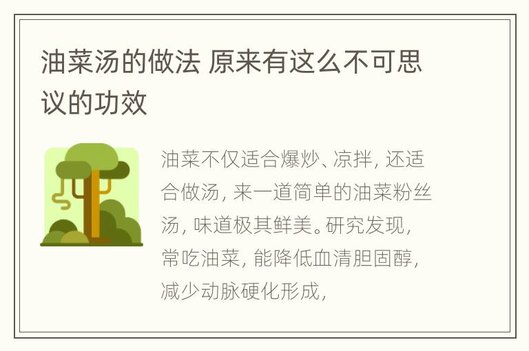 油菜汤的做法 原来有这么不可思议的功效