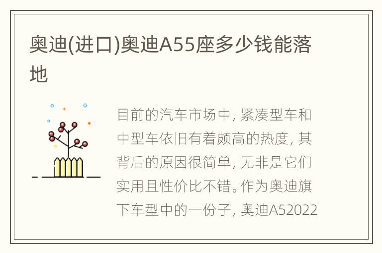 奥迪(进口)奥迪A55座多少钱能落地