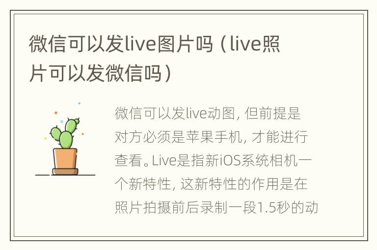 微信可以发live图片吗（live照片可以发微信吗）
