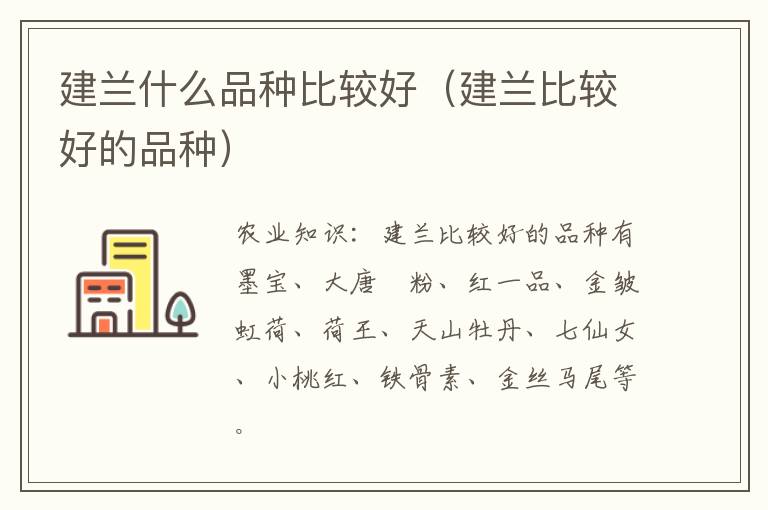 建兰什么品种比较好（建兰比较好的品种）