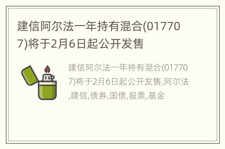 建信阿尔法一年持有混合(017707)将于2月6日起公开发售