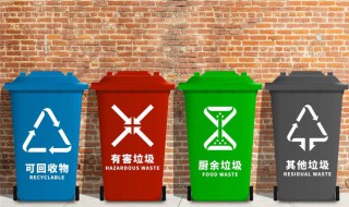 生活垃圾三化指的是什么 生活垃圾三化的解释