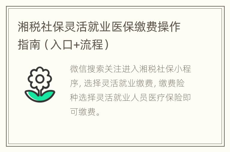 湘税社保灵活就业医保缴费操作指南（入口+流程）