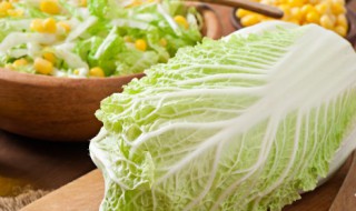 猪肉白菜卷的做法 猪肉白菜卷的制作方法