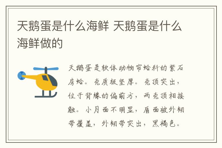 天鹅蛋是什么海鲜 天鹅蛋是什么海鲜做的