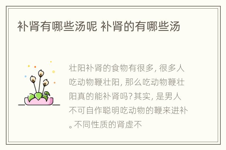 补肾有哪些汤呢 补肾的有哪些汤
