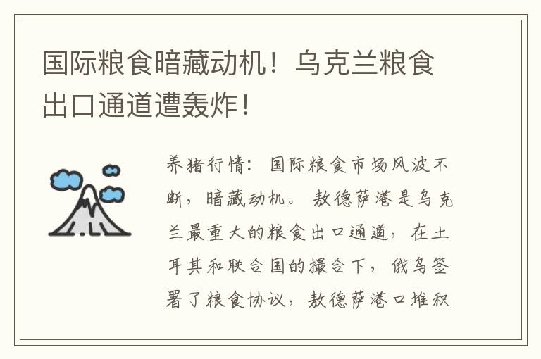 国际粮食暗藏动机！乌克兰粮食出口通道遭轰炸！