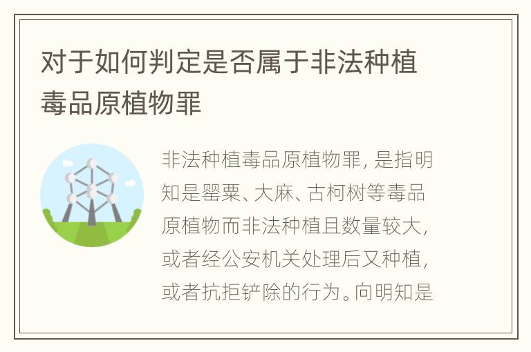 对于如何判定是否属于非法种植毒品原植物罪
