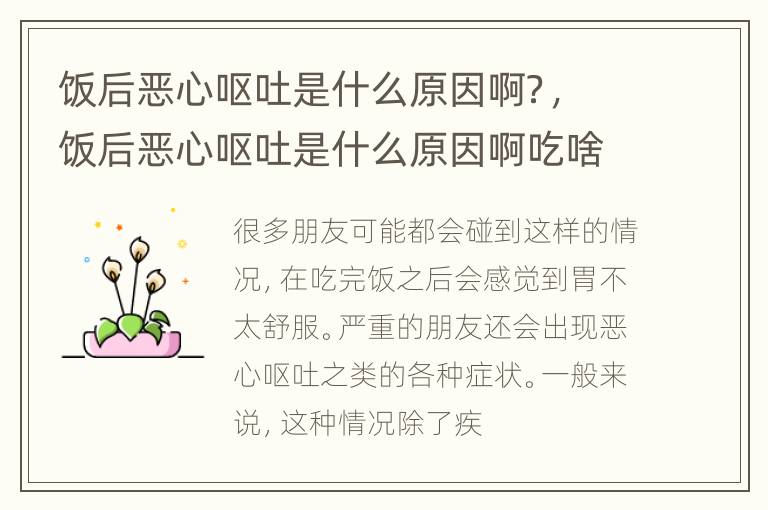 饭后恶心呕吐是什么原因啊？，饭后恶心呕吐是什么原因啊吃啥药