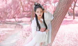 杜若是什么形制的汉服 杜若汉服是什么形制的