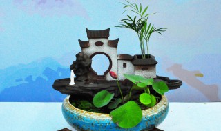 鱼缸碗莲无土水培方法 碗莲水培方法分享