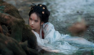 狸猫换太子真实原型 历史上真有狸猫换太子事件吗