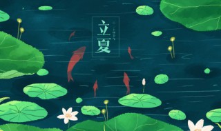 立夏吃蛋微信说说 关于立夏吃蛋微信说说