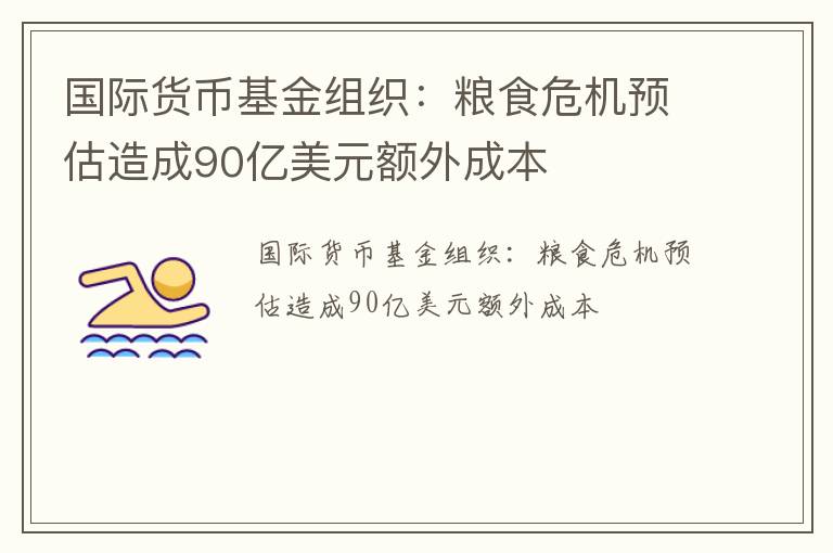 国际货币基金组织：粮食危机预估造成90亿美元额外成本