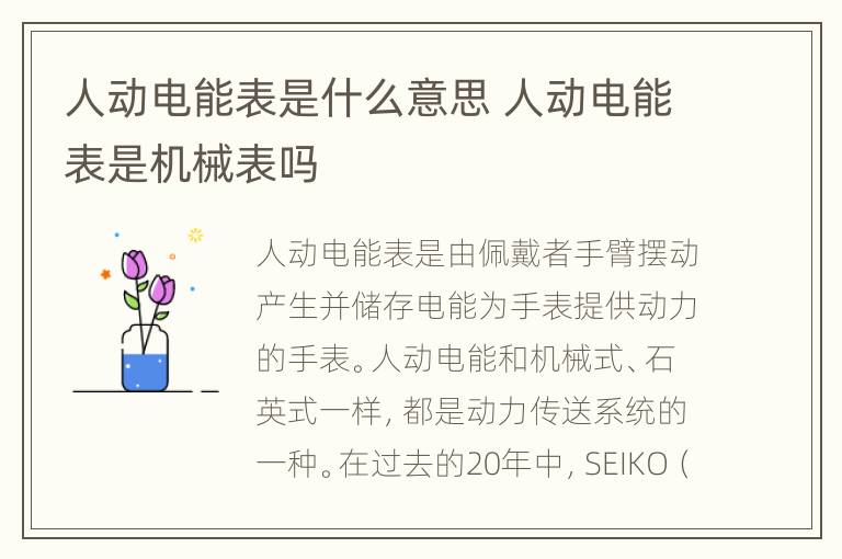 人动电能表是什么意思 人动电能表是机械表吗