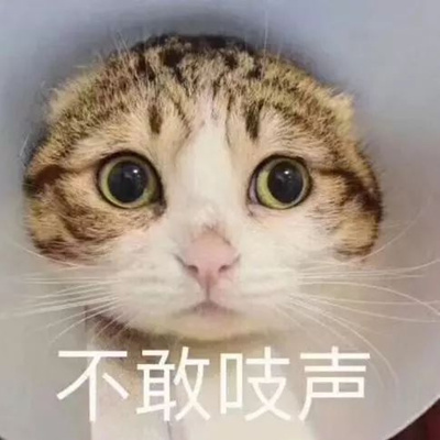 最强回复】你永远也想不到学车时会遇见怎样的同学