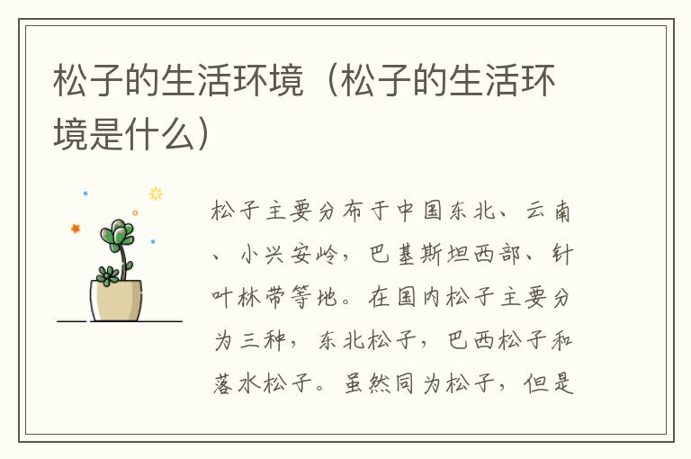 松子的生活环境（松子的生活环境是什么）