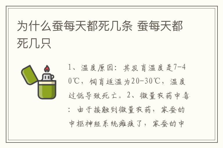 为什么蚕每天都死几条 蚕每天都死几只