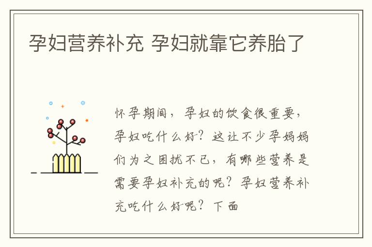 孕妇营养补充 孕妇就靠它养胎了