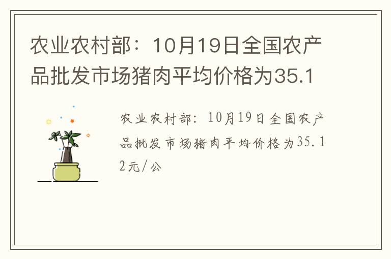 农业农村部：10月19日全国农产品批发市场猪肉平均价格为35.12元/公