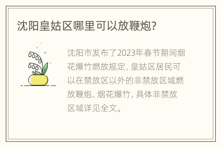 沈阳皇姑区哪里可以放鞭炮？