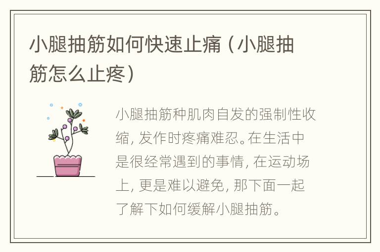 小腿抽筋如何快速止痛（小腿抽筋怎么止疼）