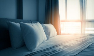 卧室墙角放什么辟邪防潮 屋里摆放什么辟邪