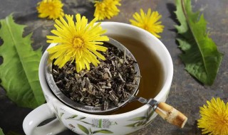 蒲公英茶和蒲公英根茶的区别 盘点蒲公英茶和蒲公英根茶的区别