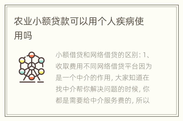 农业小额贷款可以用个人疾病使用吗