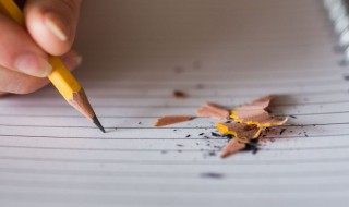 春节作文800字高中 春节的高中作文范文
