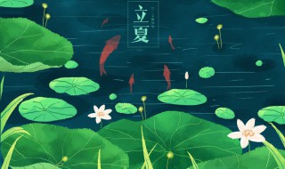 立夏以后怎么养生 立夏过后的养生方法