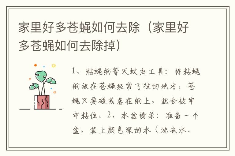 家里好多苍蝇如何去除（家里好多苍蝇如何去除掉）