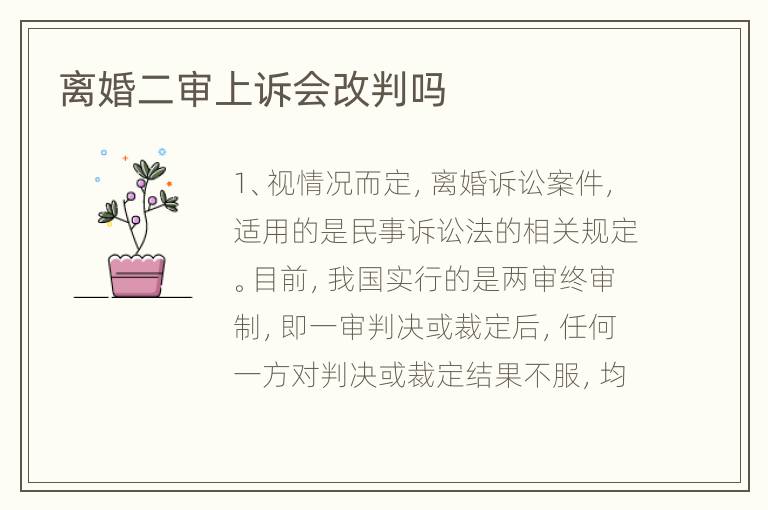 离婚二审上诉会改判吗