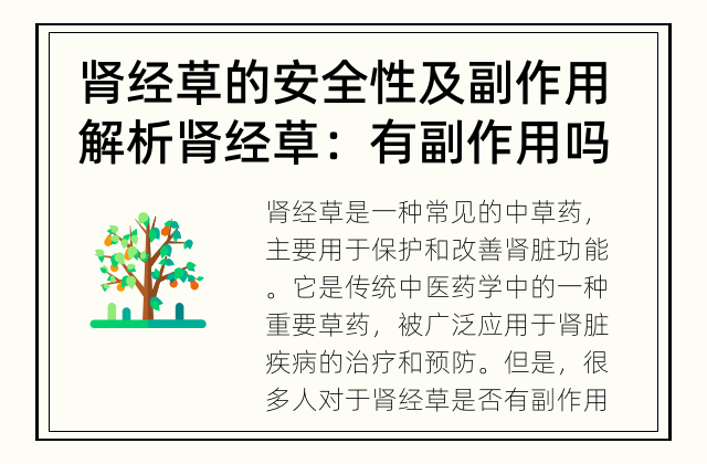 肾经草的安全性及副作用解析 肾经草：有副作用吗？
