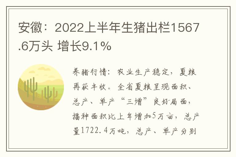 安徽：2022上半年生猪出栏1567.6万头 增长9.1%