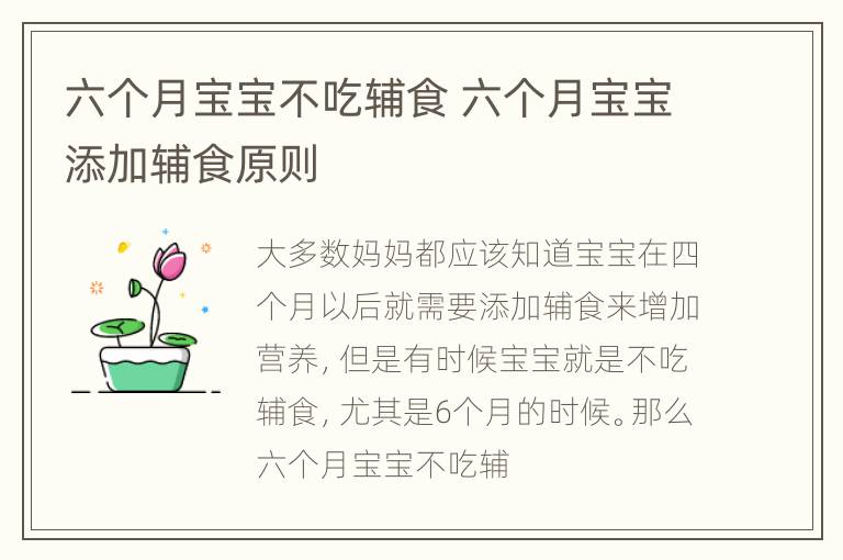 六个月宝宝不吃辅食 六个月宝宝添加辅食原则