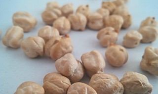 天麻子的功效与作用 天麻子有哪些功效作用