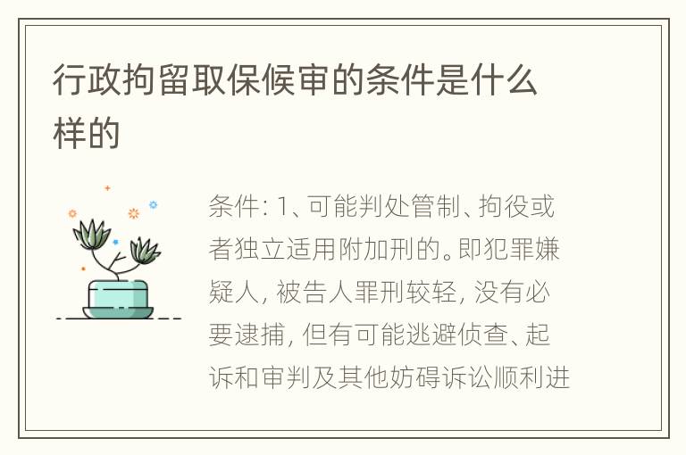 行政拘留取保候审的条件是什么样的