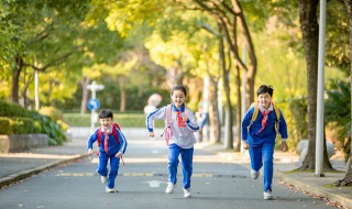 悌是什么意思 悌意思 是什么