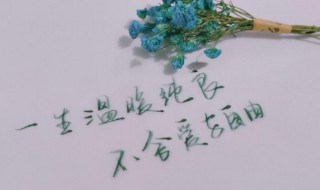 一生温暖纯良什么意思 一生温暖纯良的意思