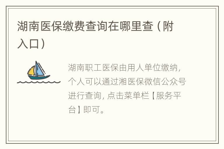 湖南医保缴费查询在哪里查（附入口）