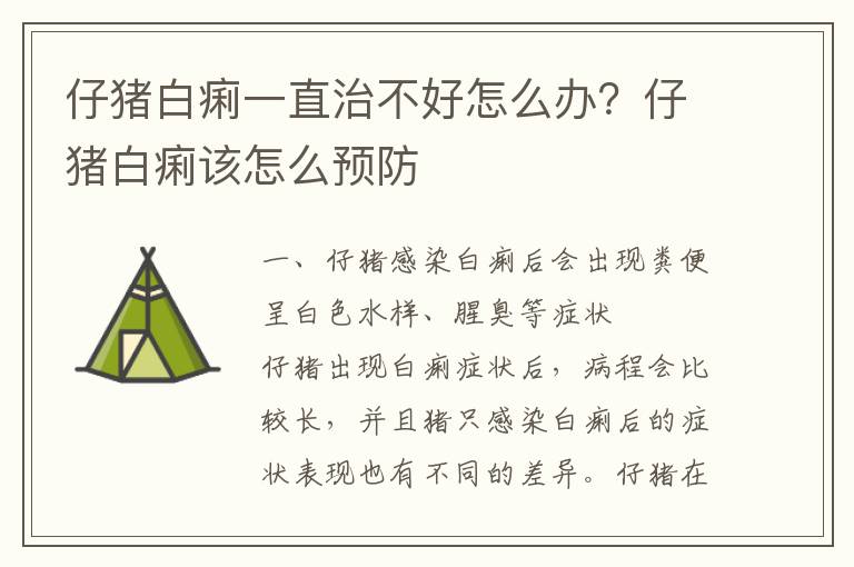 仔猪白痢一直治不好怎么办？仔猪白痢该怎么预防