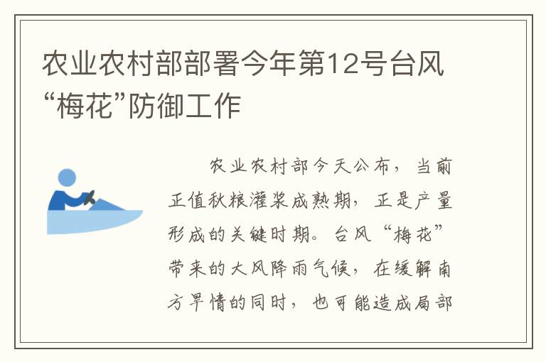 农业农村部部署今年第12号台风“梅花”防御工作